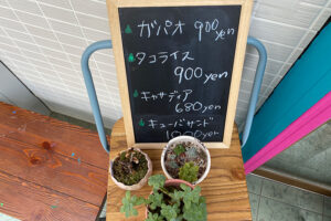 SUNNY DROPのメニュー