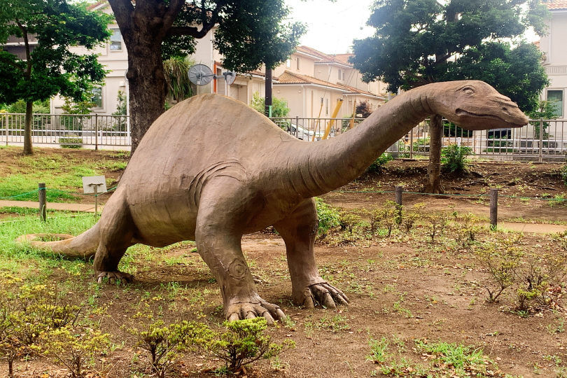 アパトサウルスのオブジェの写真