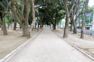 園内を囲む遊歩道の写真
