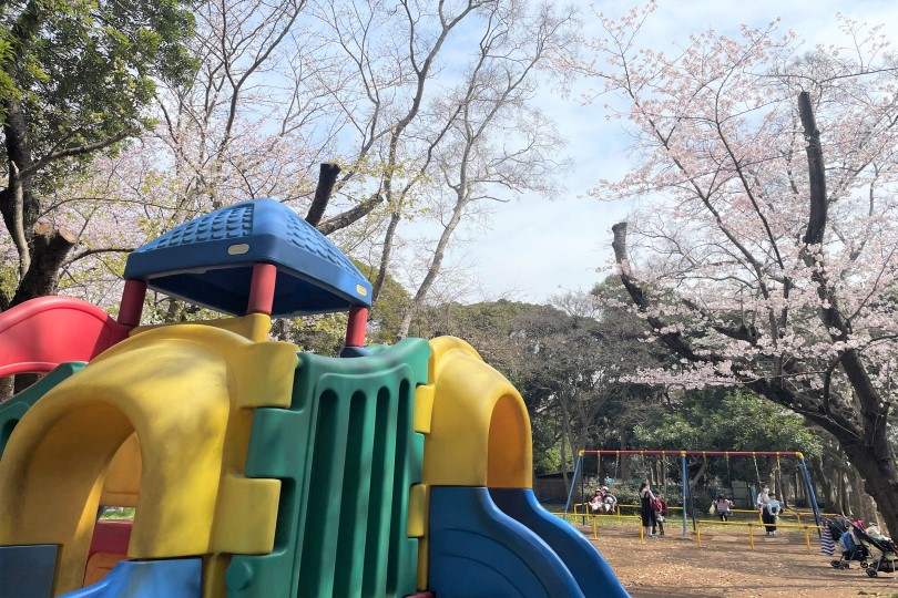 【行田公園】円形の不思議な公園！？どなたでも楽しめる広々公園をご紹介