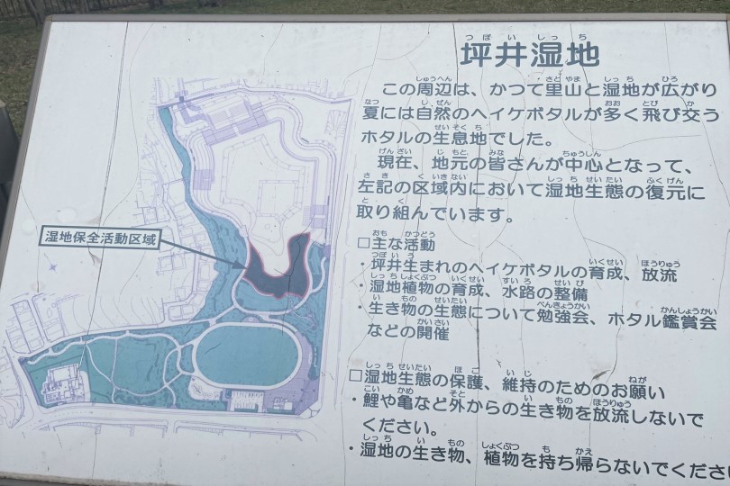 坪井近隣公園の図
