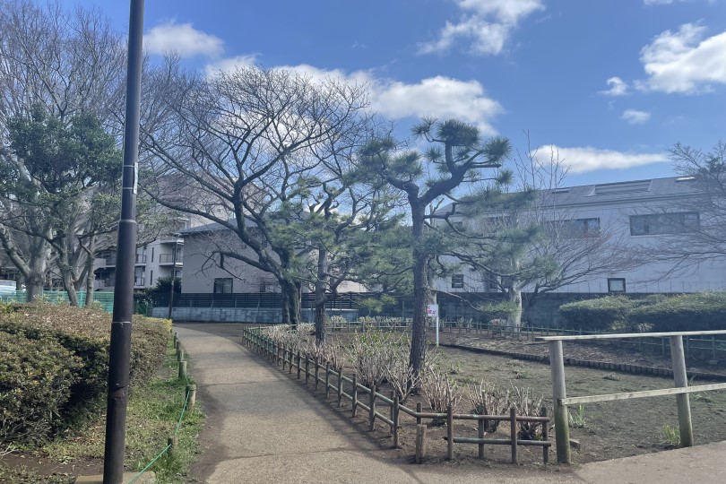 薬円台公園の散歩コース