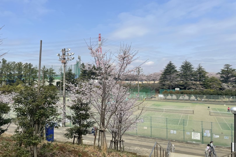 船橋運動公園のテニスコート