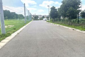 奥へ進む道